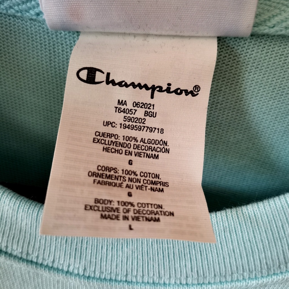 CHAMPIOM Heavyweight  Heritage Football Tee -  (L) NWT - Picture 11 of 14